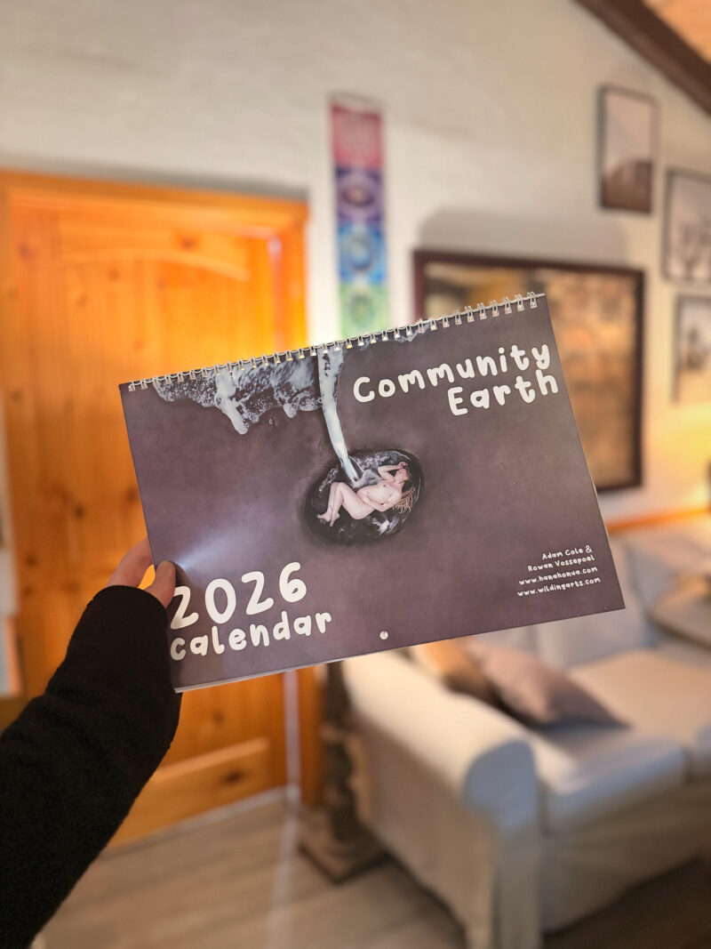 2026 Calendar - Community Edition